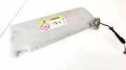 Sonnenblende Jaguar XF, X250 2012.01 - 2015.01 facelift CPLA00014AA,