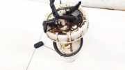 Kraftstoffpumpe Honda CR-V, III 2006.06 - 2010.06 17708SWYE01M1, 10196222290