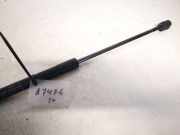 Gasdruckfeder Kofferraum Nissan Micra, K12 2003.01 - 2007.06 90450ax60b,