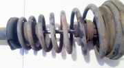 Fahrwerksfeder vorne Nissan Primera, P10 1990.06 - 1996.06 Gebraucht,