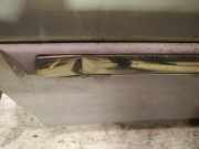 Zierleiste Tür Zier-Schutzleiste - Vorne Linke Hyundai Trajet, 2000.03 - 2008.07 Gebraucht,