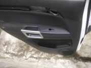 Türverkleidung - Hinten Linke Opel Antara, 2010.08 - 2015 Gebraucht,