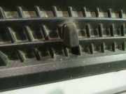 Waschwasserdüse Scheibenreinigung Ford Transit, III 2006.04 - 2012.12 facelift Gebraucht,