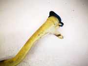 Verschluss Waschwasserbeh?lter Volvo XC90, 2007.06 - 2009.06 facelift Gebraucht,