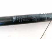 Gasfeder für Motorhaube Fiat Stilo, 2001.10 - 2007.01 B418,