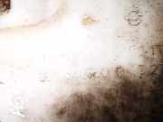 Scheibenwaschbeh?lter Vorne Wischwasserbeh?lter Peugeot 406, 1995.11 - 1999.03 9616340580,