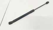 Gasdruckfeder Kofferraum Volkswagen Passat, B7 2010.08 - 2014.06 3AE827550A, CFGB