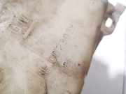 Scheibenwaschbehälter Vorne Wischwasserbehälter Opel Astra, F 1991.09 - 1998.09 0023935,0023935 FT0023935 90386397