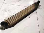 Ladeluftkühler Peugeot Bipper, 2008.02 - 2015.06 Gebraucht,