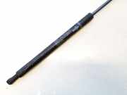 Gasfeder für Motorhaube Lexus IS, II 2005.10 - 2013.03 534400w101,53440-0w101