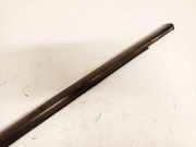 Zierleiste Leiste - Vorne Rechts Renault Scenic, II 2006.06 - 2009.02 facelift Gebraucht,