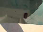 Waschwasserdüse Scheibenreinigung Ford Focus, 1998.10 - 2002.10 Gebraucht,