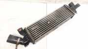 Ladeluftkühler Nissan Primera, P12 2002.01 - 2008.12 Gebraucht ,