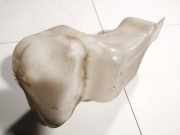 Scheibenwaschbehälter Vorne Wischwasserbehälter Iveco Daily, 2006.01 - 2011.06 3391898,