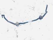 Stabilisator Vorne BMW 1-Series, E87 E88 2006.11 - 2011.09 facelift 677133502,