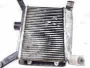 Ladeluftkühler Toyota RAV-4, II 2000.09 - 2005.11 27040332,