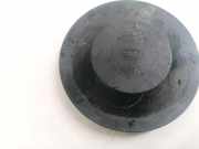 Blende Scheinwerfer - Vorne Renault Scenic, II 2003.06 - 2006.06 153874,