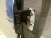 Türscharnier Hinten Mitsubishi Pajero Sport, I K90 1996.01 - 2000.06 Gebraucht,