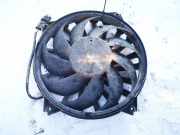 Kühlerlüfter Lüftermotor Citroen C8, I 2002.07 - 2008.06 Gebraucht,