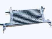 Kraftstoffkühler Kraftstoff Kühler Citroen C4, I 2004.11 - 2008.06 Gebraucht,