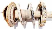 Fahrwerksfeder vorne Subaru Legacy, BL, BP 2003.09 - 2009.12 Gebraucht,