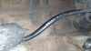 Impulsgeber Kurbelwelle Hyundai Getz, 2002.08 - 2009.06 3918022600,39180-22600 Bild Impulsgeber Kurbelwelle Hyundai Getz, 2002.08 - 2009.06 3918022600,39180-22600