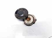 Spannrolle Ford Mondeo, 2007.03 - 2013.06 f563069,F-563069