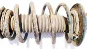 Fahrwerksfeder vorne Citroen C4 Picasso, I 2006.01 - 2013.06 Gebraucht,