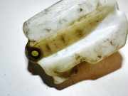 Scheibenwaschbehälter Vorne Wischwasserbehälter Renault Megane, II 2002.11 - 2006.06 8200104706, 8200104705