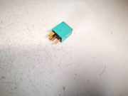 Relais Honda Accord, 2005.09 - 2008.05 facelift g8hnh70,g8hn-h70