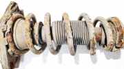 Fahrwerksfeder Hinterachse Nissan Primera, P12 2002.01 - 2008.12 Gebraucht,