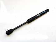 Gasdruckfeder Kofferraum Opel Vectra, B 1995.09 - 2000.09 0065ee0850n,