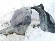 Radhausschale - Vorne Rechts Volkswagen Touran, 2003.01 - 2006.10 1t0805912,1t0.805.912 1155d300340 BKC