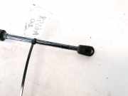 Gasdruckfeder Kofferraum Alfa-Romeo 156 1997.07 - 2003.11 60664833,5623MF0620N