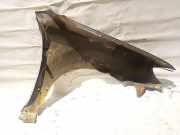 Kotfl?gel - Vorne Linke Mitsubishi Outlander, I 2003.01 - 2006.12 Pilka,