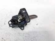 T?rinnengriff - Vorne Linke Volkswagen Crafter, I 2006.01 - 2011.12 3052468,3052471 BJK