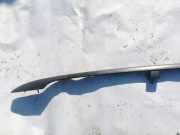 Dachreling Rechts Volkswagen Passat, B6 2005.08 - 2010.11 Gebraucht, BKP