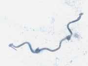 Stabilisator Vorne Toyota Avensis Verso, 2001.08 - 2009.11 Gebraucht,