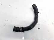 Entlüftungsschlauch Kraftstoffbehälter Ford Focus, 1998.10 - 2002.10 YS6Q6A804AA,YS6Q-6A804-AA