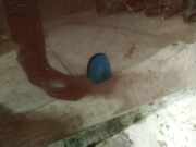 Waschwasserdüse Scheibenreinigung Volvo XC70, 2007.08 - 2012.02 Gebraucht,