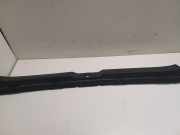 Zierleiste Toyota Corolla Verso, III 2004.05 - 2007 6417160F010, 641716-0F010