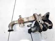 Abgaskühler AGR-Kühler Renault Scenic, II 2003.06 - 2006.06 8200360566, 04t155