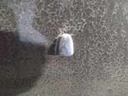 Waschwasserdüse Scheibenreinigung Volvo S40, 2004.01 - 2007.03 Gebraucht,