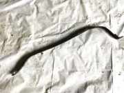 Halteband Kraftstoffbehälter Hyundai Santa Fe, 2006.03 - 2012.09 Gebraucht,