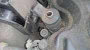 Einspritzdüse Opel Vectra, C 2002.04 - 2005.10 0445110165,