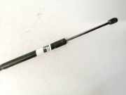 Gasdruckfeder Kofferraum Kia Ceed, I 2006.12 - 2010.05 Gebraucht,