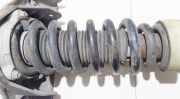 Fahrwerksfeder vorne Porsche Cayenne, 2002.01 - 2010.06 Gebraucht,
