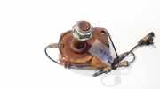 Achszapfen Achskörper - Hinten Linke Renault Laguna, II 2001.03 - 2006.05 Gebraucht,