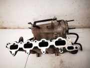 Ansaugkrümmer Hyundai Santa Fe, 2000.11 - 2006.03 Gebraucht,