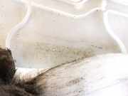 Innenausstattung Volkswagen Passat, B6 2005.08 - 2010.11 3c5867242, Bkp